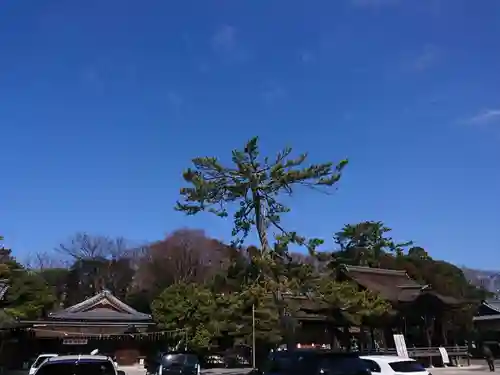 長浜八幡宮の建物その他