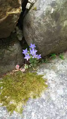 徳善院明王密寺のその他建物