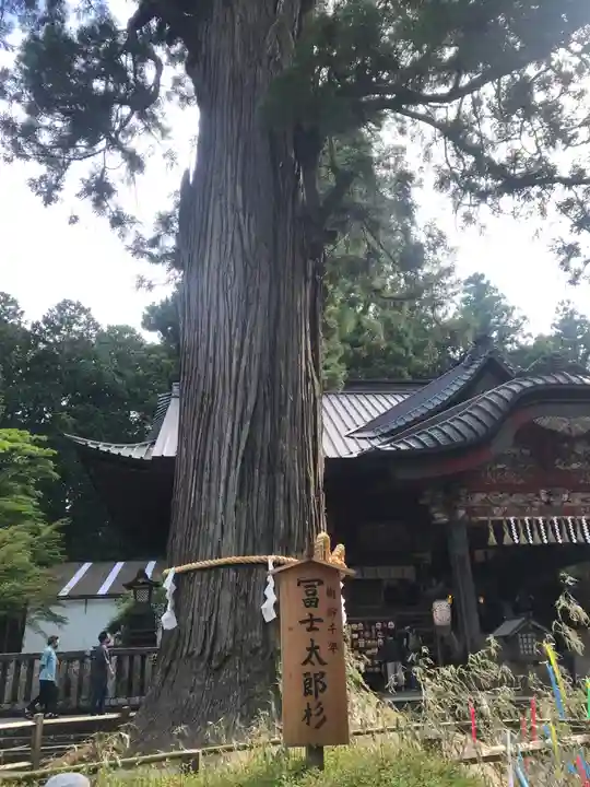 北口本宮冨士浅間神社の自然