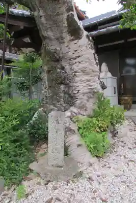 大光寺のその他建物