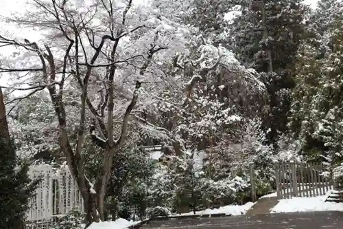 開成山大神宮の景色