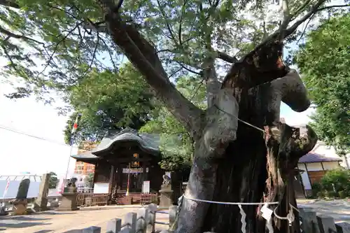 阿邪訶根神社の本殿