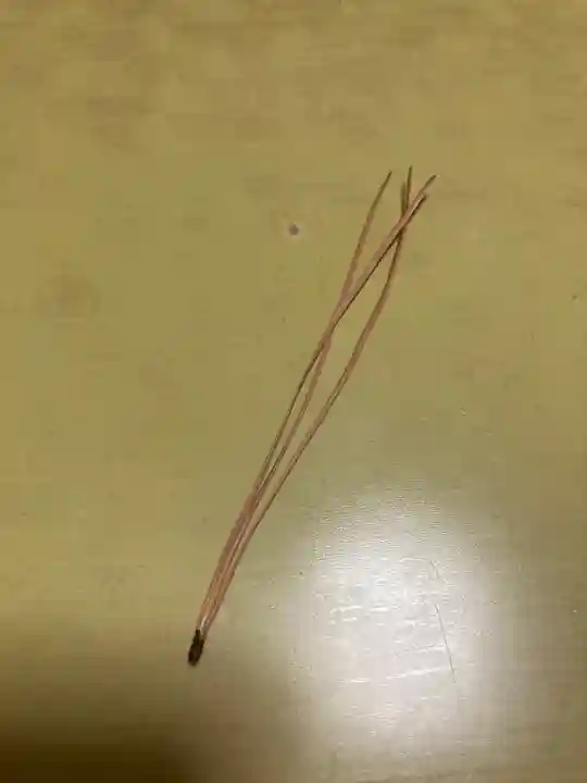 正ノ木稲荷 稲積神社(山梨県)