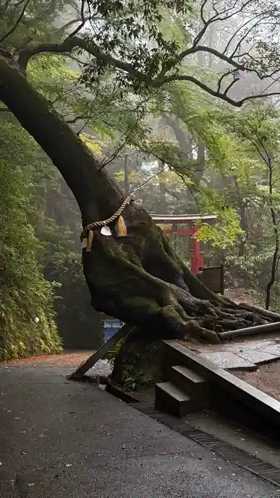 笠森寺(千葉県)
