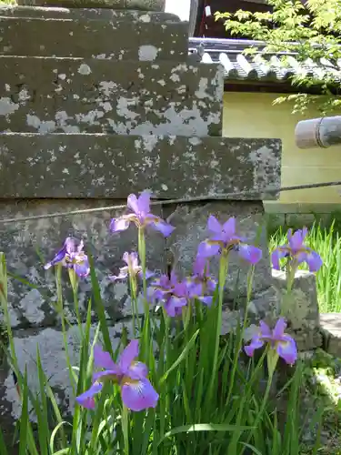 梅宮大社の自然