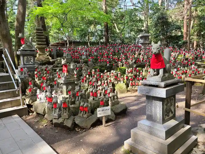 豊川閣 妙厳寺の狛犬