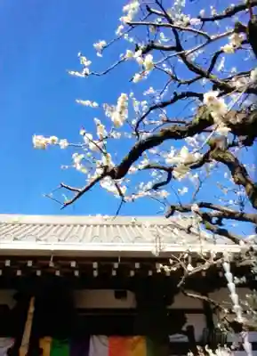 常性寺(東京都)