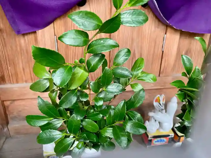 熊野神社(神奈川県)