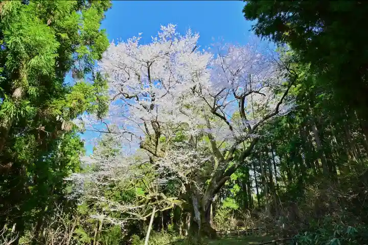 風巻神社奥社(新潟県)