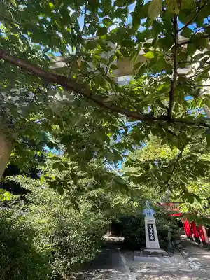 姫路神社(兵庫県)