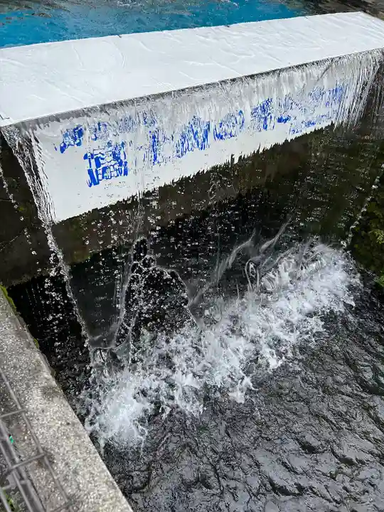 淺間神社(忍野八海)の自然