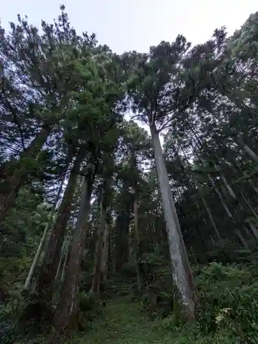 迦葉山龍華院弥勒護国寺（弥勒寺）の自然