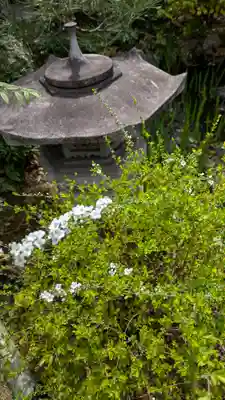 宝蔵寺(京都府)