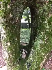 日和佐八幡神社の自然