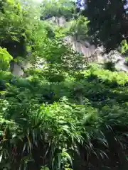 宝珠山 立石寺の自然