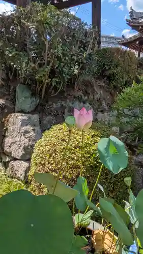 願林寺(滋賀県)