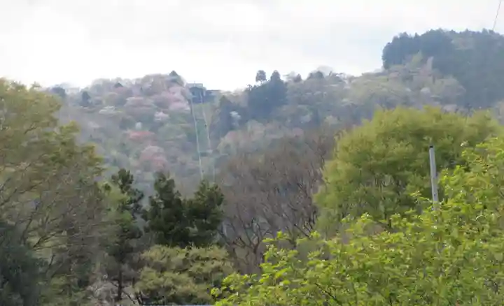 宝登山神社奥宮(埼玉県)