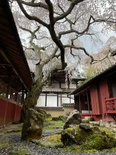 十輪寺(京都府)