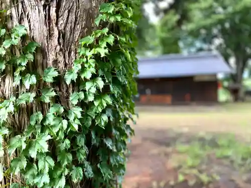 吉田神社(長野県)