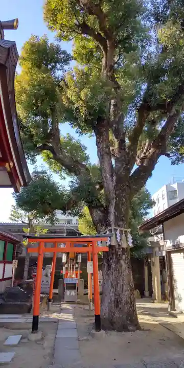 上の天神 生根神社(大阪府)