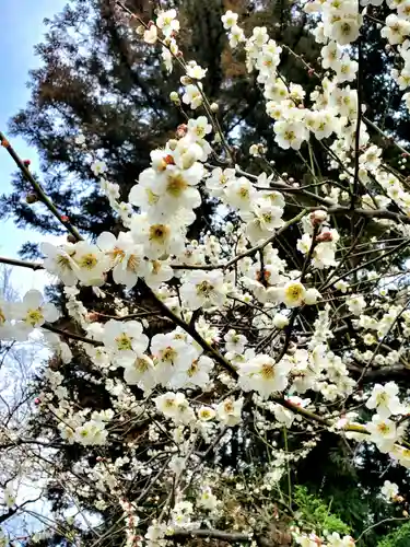豊景神社(福島県)