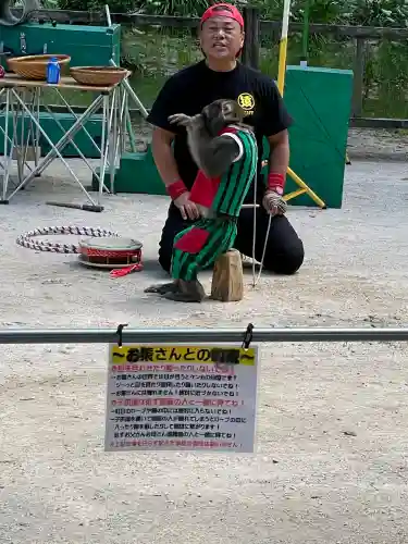 太宰府天満宮の{uncategorized: "未分類", other: "その他", undefined: "問題あり", building: "その他建物", grave: "お墓", sacred_gate: "鳥居", guardian: "狛犬", statue: "像", buddha: "仏像", history: "歴史", nature: "自然", garden: "庭園", animal: "動物", pagoda: "塔", temizu: "手水舎", mountain_gate: "山門・神門", sanctuary: "本殿・本堂", subordinate: "末社・摂社", art: "芸術", scenery: "景色", jizo: "地蔵", ema: "絵馬", goshuin: "御朱印", omikuji: "おみくじ", items: "授与品その他", amulet: "お守り", goshuincho: "御朱印帳", eats: "食事", festival: "お祭り", votive_dance: "神楽", shichigosan: "七五三参", wedding: "結婚式", experience: "体験その他", initially: "初詣", around: "周辺", anti_infection: "感染症対策"}