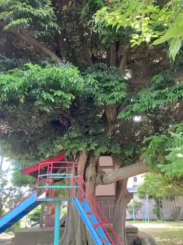 一之宮天満宮（梶原景時館跡）(神奈川県)