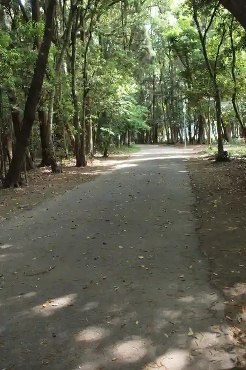 宮崎神宮の自然