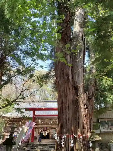 磐椅神社(福島県)