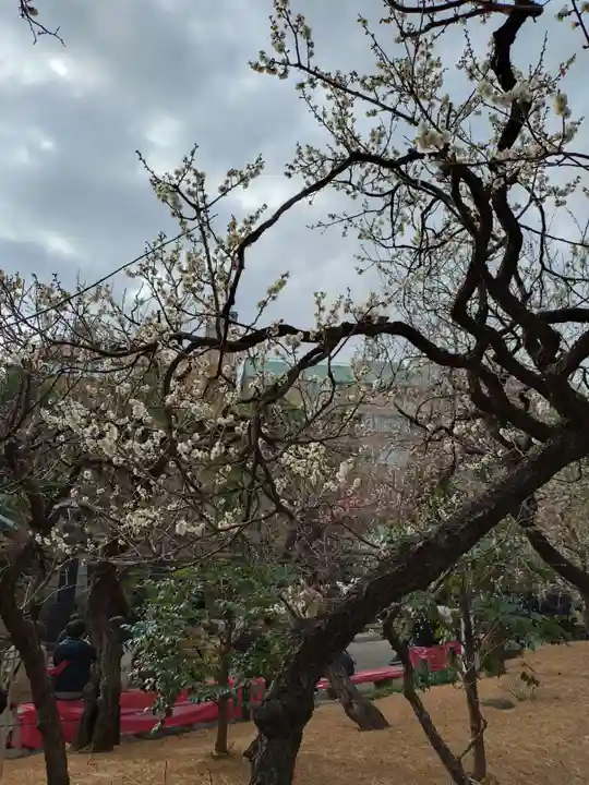 湯島天満宮(東京都)