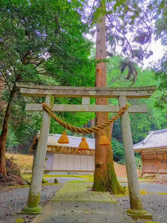 稲束神社(平尾町)の鳥居