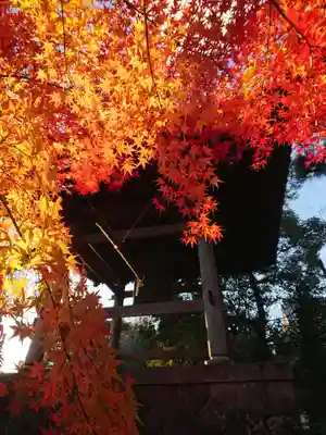 本宗寺のその他建物