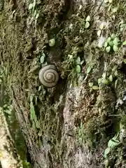 丹生川上神社（下社）(奈良県)