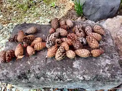 琴似神社(北海道)