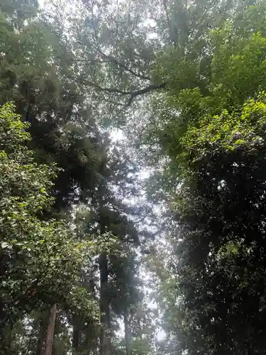 佐野赤城神社(栃木県)
