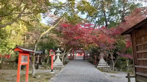 大原野神社の鳥居