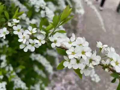 東円寺(山梨県)