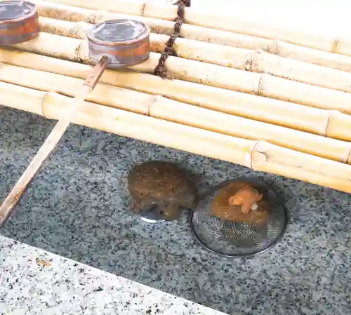 亀有香取神社の狛犬