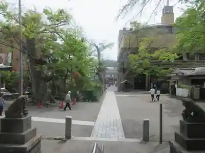 亀岡八幡宮（亀岡八幡神社）の景色