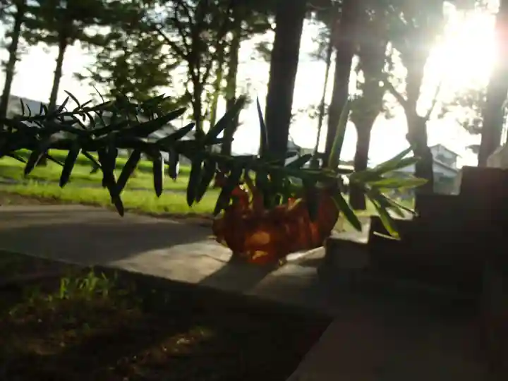 頥気神社の動物