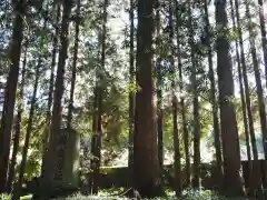 精進川浅間神社の自然