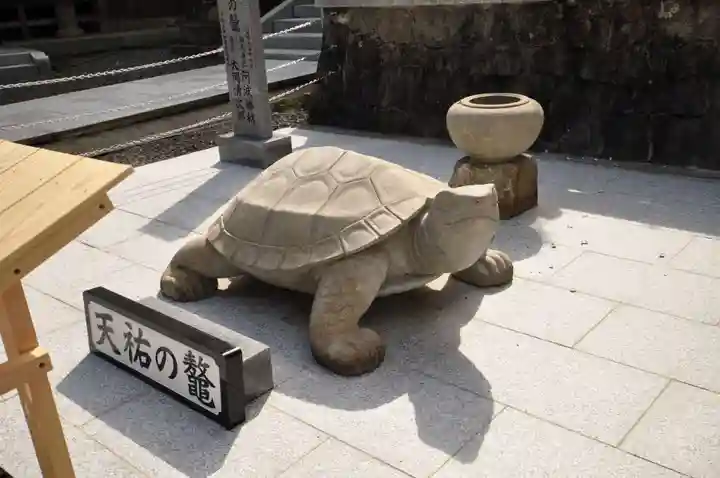 雲辺寺(徳島県)