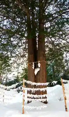 琴似神社のその他建物
