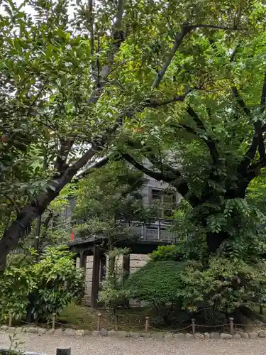 乃木神社(東京都)