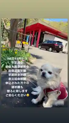 成田山瀧泉寺(北海道)