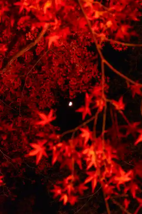 北野天満宮(京都府)