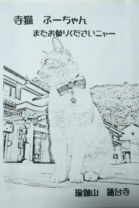 【令和四年三月二十一日参拝】蓮台寺の御朱印の挟み紙❓書き置きをお願いしたのですが、寺猫ふーちゃんの挟み紙を下さいました😄可愛いから、最初のページ横の御朱印を書かないページに貼らせて頂いてます。