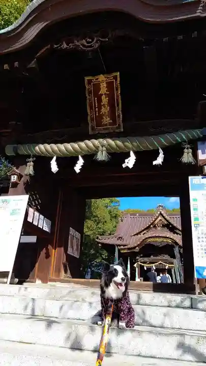 三津厳島神社の山門・神門
