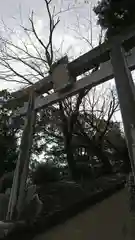菊池神社の鳥居