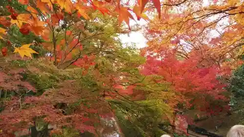 北野天満宮の庭園